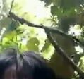Viral Abg Berbuat Di Hutan
